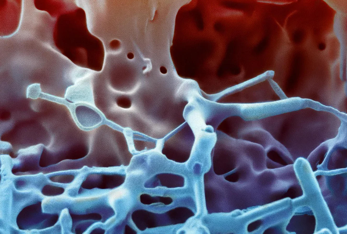 新型聚氨酯泡沫环保性能:全生命周期的绿色革新与突破